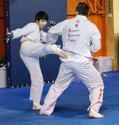 Taekwondo for adults and teens