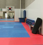 Peninsula Hapkido Carrum Downs Hapkido Classes & Lessons 1_small