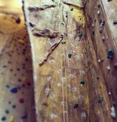 One of our fantastic walls downstairs.