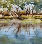 water reflections