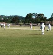 Loganholme (Cobras) Cricket Club Tanah Merah Cricket Clubs 1_small