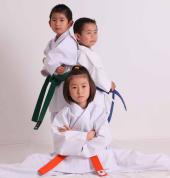 Global Shito Ryu Karate St Albans Karate Clubs 1_small