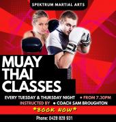 SMA - Adults Muay Thai Class - All Levels