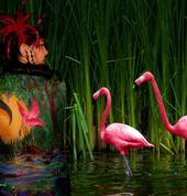 Pretty Flamingo's - Maryanne Popovic Thanks Rhiannon