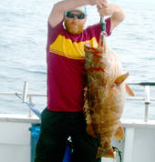 Nice Cod!