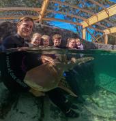 Zebra Shark Encounter in our indoors and heated tropical lagoon