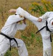 Karate kick
