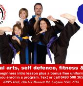 Martial arts, self defence, fitness and fun for kids 8+, teens and adults.