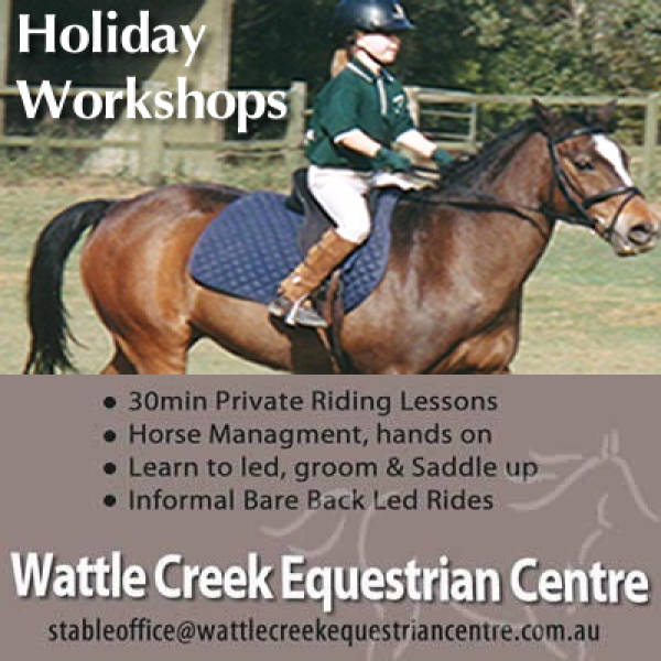 Christmas Festival The Gap Horse Riding Classes &amp; Lessons _small
