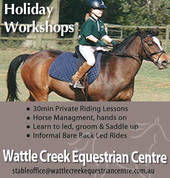 Wattle Creek Equestrian Centre The Gap Horse Riding Classes & Lessons 1_small