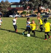 Coniston Junior Soccer Club Coniston Soccer Clubs 2_small