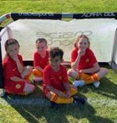 Miniroos