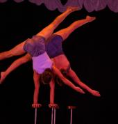 The Lunar Circus Summer School Training Project