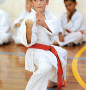 GKR Karate - Martial Arts Based Defence in Pacific Pines, Queensland, Australia