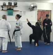 Castle Sensei in Action
