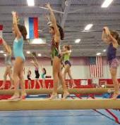 Elite Academy of Gymnastics Rivervale Gymnastics Clubs 5_small