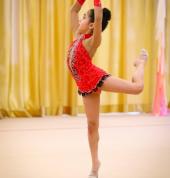 Elite Academy of Gymnastics Rivervale Gymnastics Clubs 6_small