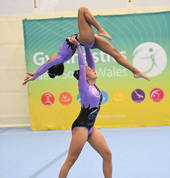 NSAA students competing at the 2016 Gymnastics NSW State Championships