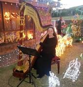 Leah playing Harp at the Lane Christmas Lights