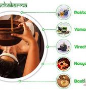 Ayur Healthcare Ayurveda Parramatta - Ayurveda Consultation - Panchakarma Detox Centre, Parramatta Parramatta Yoga 1_small