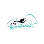 Le Ray Gymnastics Holiday Camps for Kids Birchgrove Gymnastics Classes & Lessons