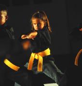 Zen Dan Kwan School Of Martial Arts Wollongong Martial Arts Academies 2_small