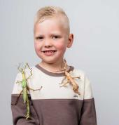 A child holding a stick insect