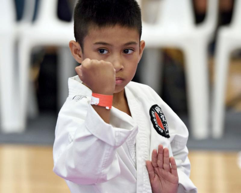 GKR Karate Kimberley Park - Karate Clubs for Kids - ActiveActivities