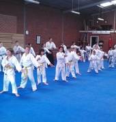 Atemi practise