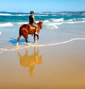 Beach Ride