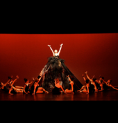 TIDC Performing Arts Studio Elizabeth South Ballet Dancing Schools 4_small
