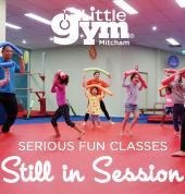 The Little Gym Mitcham Indoor Play Centers 7_small