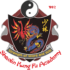 FREE KUNG FU TRAINING IN SPRING Mordialloc Kung Fu Classes & Lessons