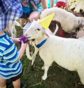 My Little Farm Friends Logan Educational School Holiday Activities 3_small
