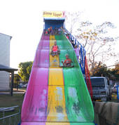 Tiggers Jumping Castle & Carnival Hire (now RidesnSlides) Hyde Park Jumping Castles 1_small