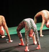Sara Jane Studios Appin Ballet Dancing Classes & Lessons 13_small