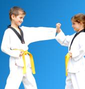 Pinnacle Martial Arts in Marrickville Inner West Sydney for kids-teens-adults