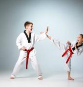Taekwondo in Earlwood for kids teens and adults