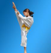 Taekwondo Martial Arts in Hurlstone Park for kids teens + adults