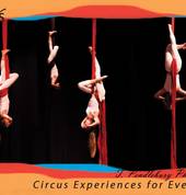 RUCCIS Performance Aerial class at Burrinja Circus Festival - Photo by Tania Pendlebury photography