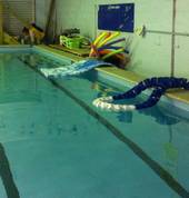 Lessons are run from LAPS Swim Centre