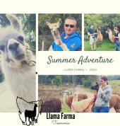 Llama Farma Deloraine Adventure 1_small
