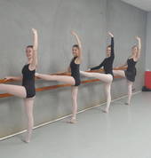 Academy of Performing Arts Macarthur Smeaton Grange Ballet Dancing Classes & Lessons 1_small
