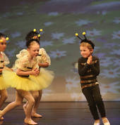 Melissa's Dance Elements Warrnambool Ballet Dancing Schools 1_small