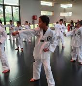 Taekwondo training