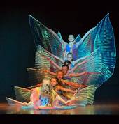 dance performance classes for children from 4y.o