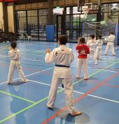 Taekwondo training