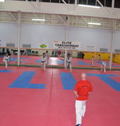 Elite Taekwondo Australia - North Geelong North Geelong Sports Parties 5_small