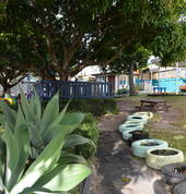 Back yard/Playground