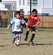 HSFC Junior Football